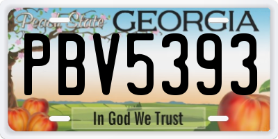 GA license plate PBV5393