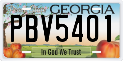 GA license plate PBV5401