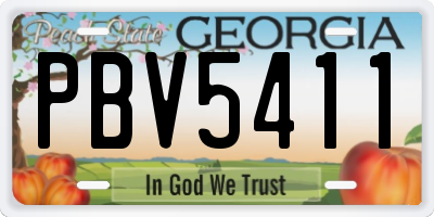 GA license plate PBV5411