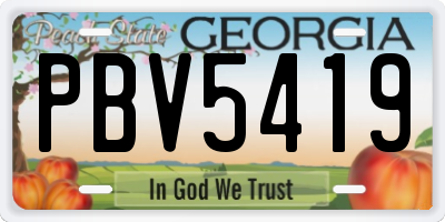 GA license plate PBV5419