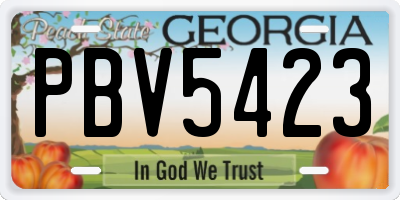GA license plate PBV5423