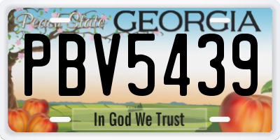 GA license plate PBV5439