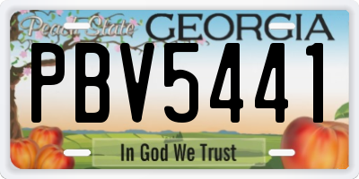 GA license plate PBV5441