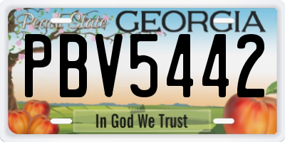 GA license plate PBV5442