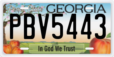 GA license plate PBV5443