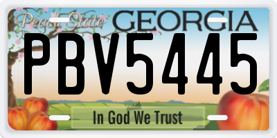 GA license plate PBV5445
