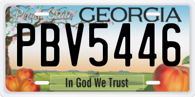 GA license plate PBV5446