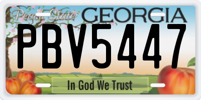 GA license plate PBV5447