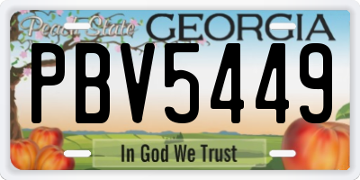 GA license plate PBV5449