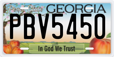 GA license plate PBV5450