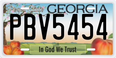 GA license plate PBV5454