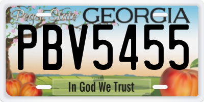 GA license plate PBV5455
