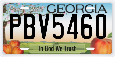GA license plate PBV5460