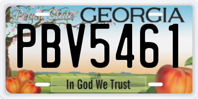 GA license plate PBV5461