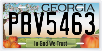 GA license plate PBV5463