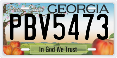GA license plate PBV5473