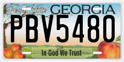GA license plate PBV5480