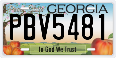 GA license plate PBV5481