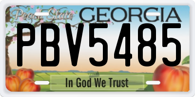 GA license plate PBV5485