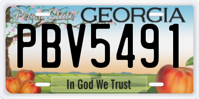 GA license plate PBV5491