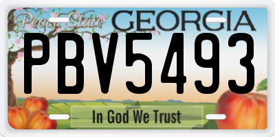 GA license plate PBV5493
