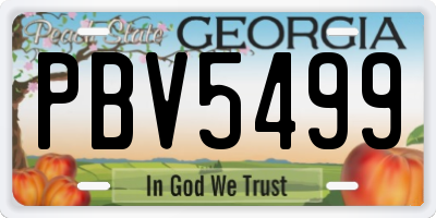 GA license plate PBV5499