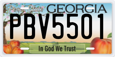 GA license plate PBV5501