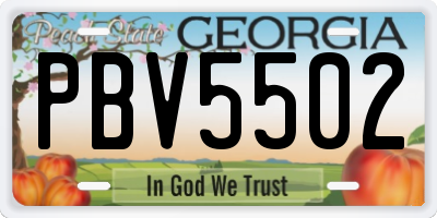 GA license plate PBV5502