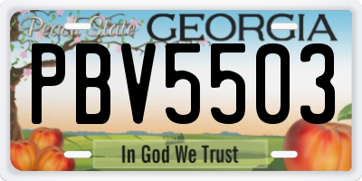 GA license plate PBV5503