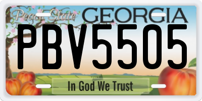 GA license plate PBV5505