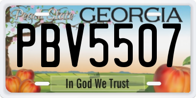 GA license plate PBV5507