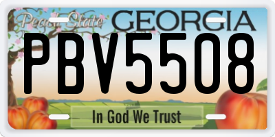 GA license plate PBV5508