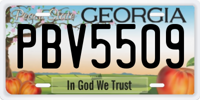 GA license plate PBV5509