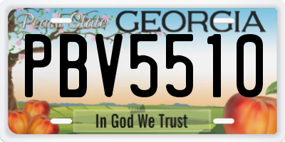 GA license plate PBV5510