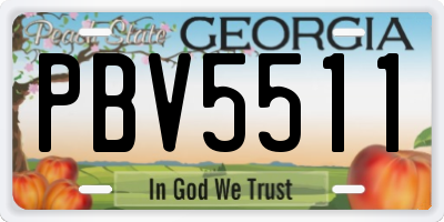 GA license plate PBV5511