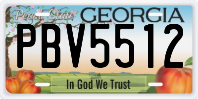 GA license plate PBV5512