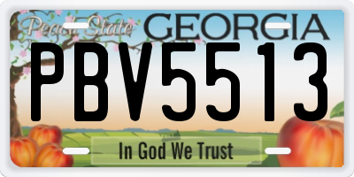GA license plate PBV5513