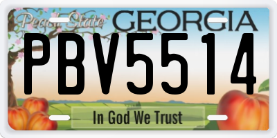 GA license plate PBV5514