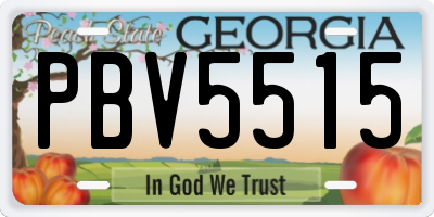 GA license plate PBV5515