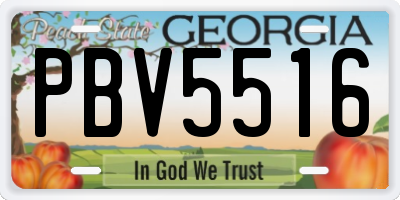 GA license plate PBV5516