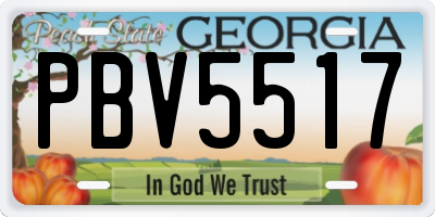 GA license plate PBV5517