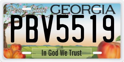 GA license plate PBV5519