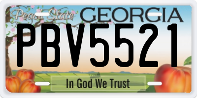 GA license plate PBV5521