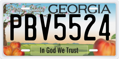 GA license plate PBV5524