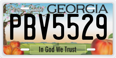 GA license plate PBV5529