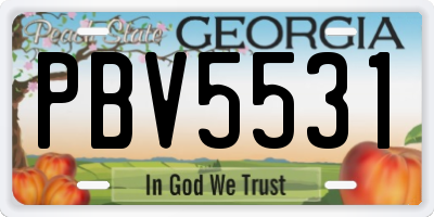 GA license plate PBV5531