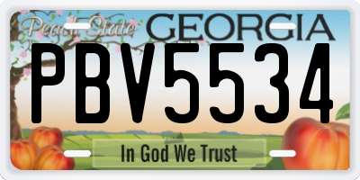 GA license plate PBV5534