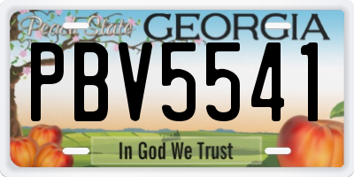 GA license plate PBV5541