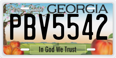 GA license plate PBV5542