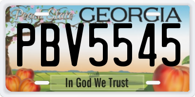 GA license plate PBV5545